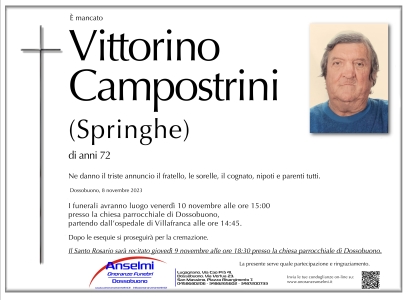Vittorino Campostrini
